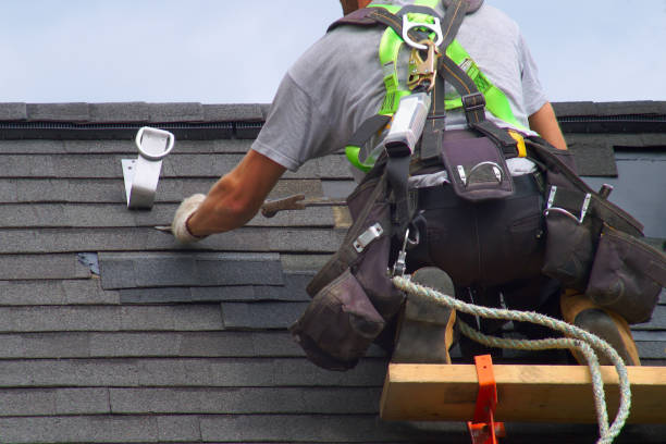 Best Local Roofing Companies  in Meridian, TX