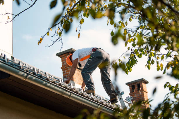 Best Roof Repair Services  in Meridian, TX