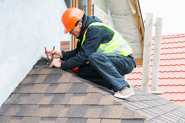 Best Roof Leak Repair  in Meridian, TX